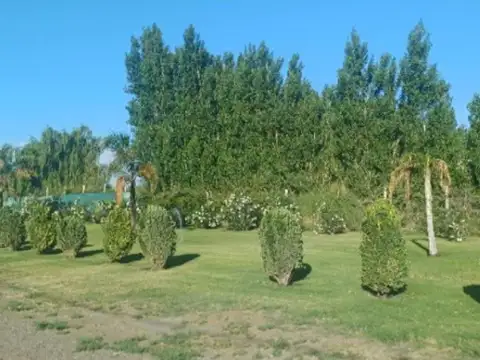Terreno en Venta en El Medanito, USD 25.000