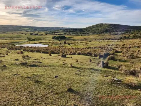 Campo de 39 has en Maldonado, Uruguay