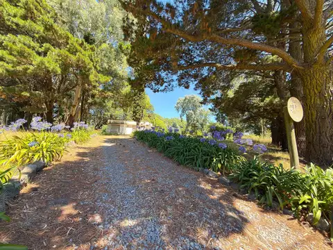 Casa en Venta de 1 dormitorio