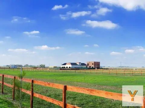 Campos De La Enriqueta
