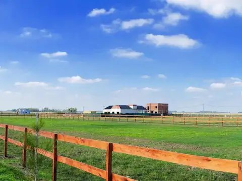 Campos De La Enriqueta