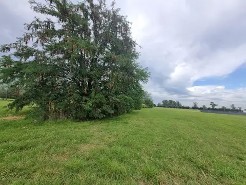 Terreno en Venta de 2000,0 m2