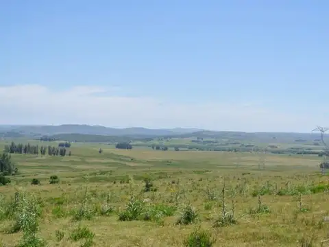 114.70 hectÃ¡reas | Campo | Ruta 39 km 36