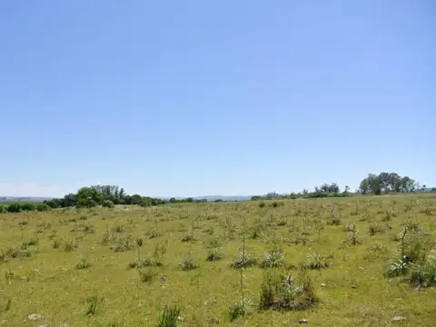 Ruta 39 km