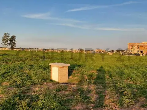 Terreno en Venta 20  mts Frente