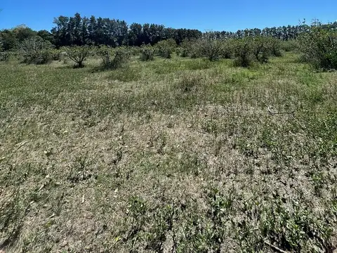 Paraje la Tortuga