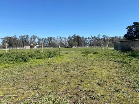 Lote - Venta - Argentina, La Plata