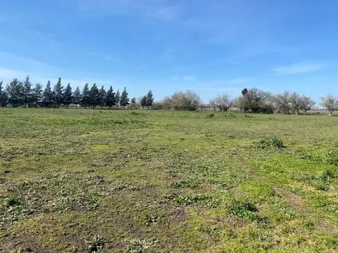 Terreno en Venta de 17802,0 m2