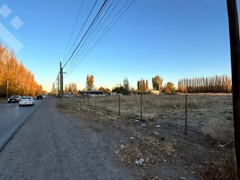 Terreno en Alquiler de 31427,0 m2