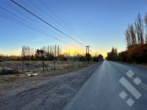 Alquiler Terreno 3 HA - Calle Río Colorado - Plottier - Neuquén