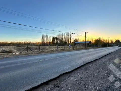 Alquiler Terreno 3 HA - Calle Río Colorado - Plottier - Neuquén
