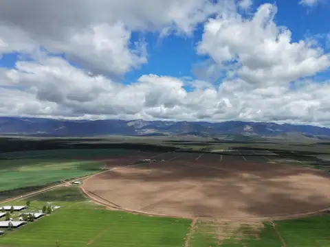 Finca y srl san carlos valle de uco