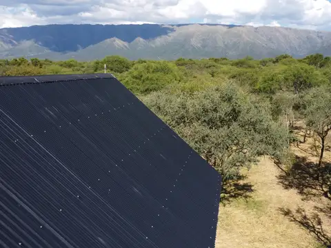 A media cuadra doroteo olmedo