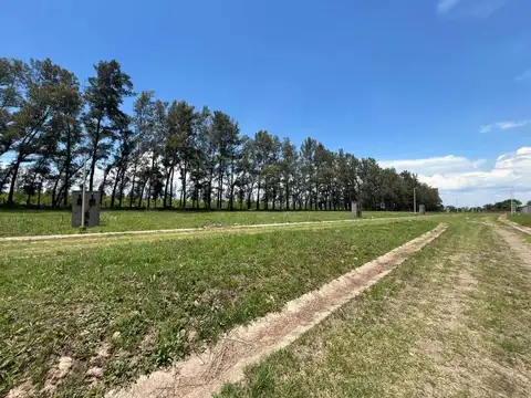 Terreno en Venta de 300,0 m2