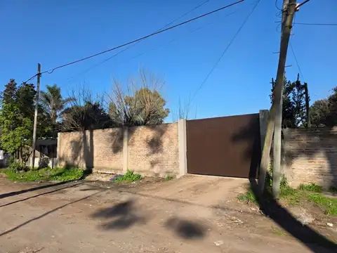Luis de Sarro 2600
