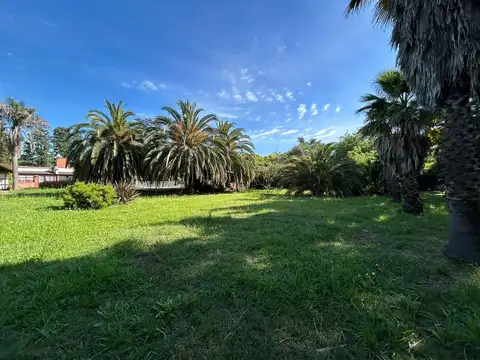 Del Perú y Del Porvenir