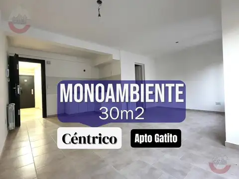 Departamento monoambiente en alquiler. Apto Gatito