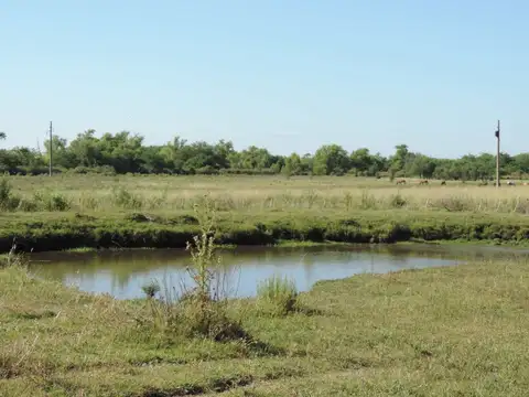 Chacra con casa y galpón, costa con arroyo Valdez