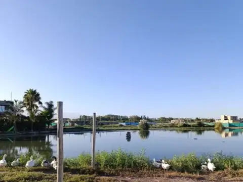 VENTA LOTE NAUTILUS, GUAYMALLEN