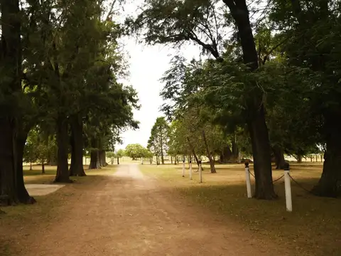 Terreno en Venta 20  mts Frente