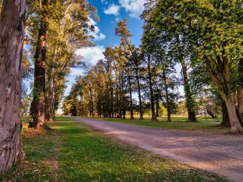 Lote en VENTA en Villa de Campo Los Tres Pinos