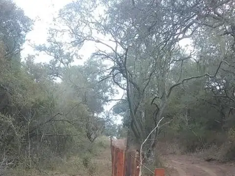 Campo en Venta en Anta con Cantera en Actividad