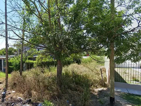 Calle 421 Bis e/ 12 y 13 100, Piso Cal
