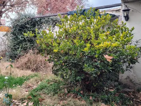 Terreno en Venta de 328,0 m2