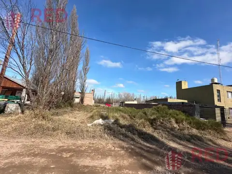 Terreno en Venta en Plottier, Confluencia
