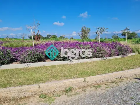 Terreno / Lote en venta de 427 m2 en RECODO Ampliación, Zona Aeropuerto, Salta