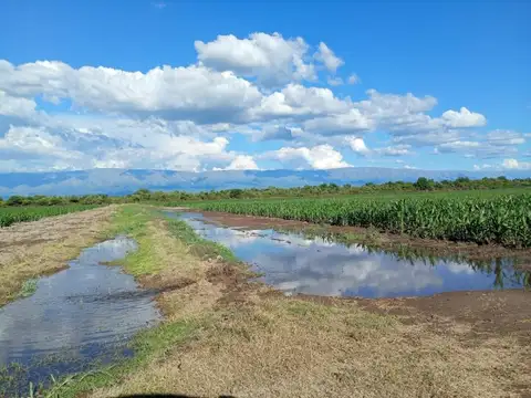 Venta de Campo en Los Romeros