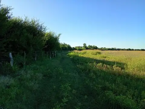Venta de Campo en Los Romeros