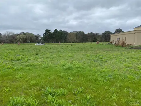 Terreno en Venta de 1000,0 m2