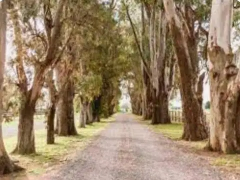 Terreno en Venta en Barrio El Campo - Fincas Exclusivas Cardales, USD 30.000