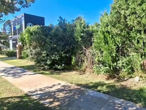 Terreno en Alquiler 16  mts Fondo