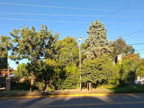Terreno en Alquiler de 290,0 m2