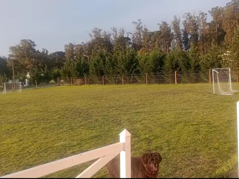 Quinta en Venta de 3 dormitorios