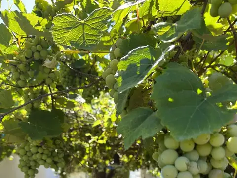 Casa en Venta 66 años