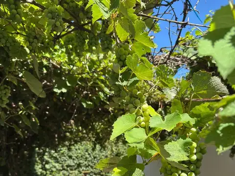 Vivi la tranquilidad de Villa del totoral