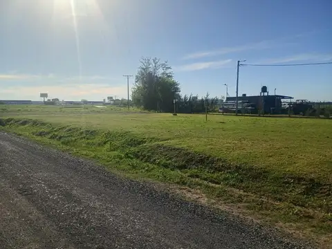 Terreno en Venta de 317,0 m2