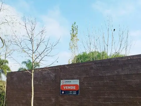 San Antonio De Padua 2705