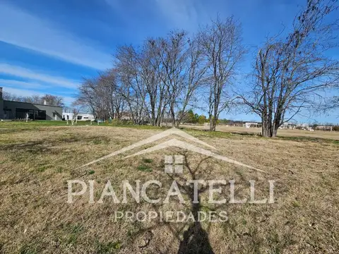 Lote Central en Everlinks