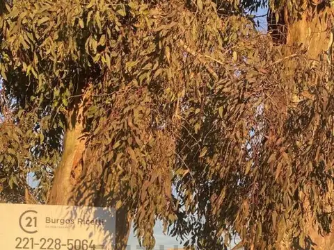 Lote en venta en La Plata
