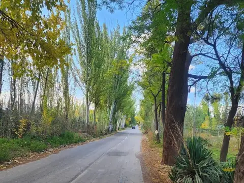 OPENHOUSE vende hermoso terreno ubicado en zona de Perdriel de Luján de Cuyo.