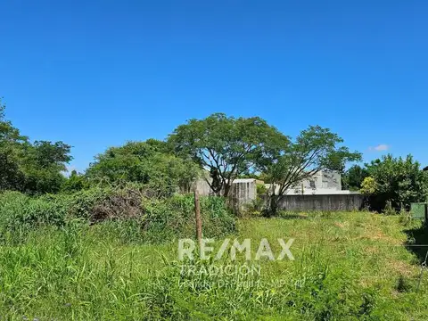TERRENO - VENTA - COLONIA BENITEZ
