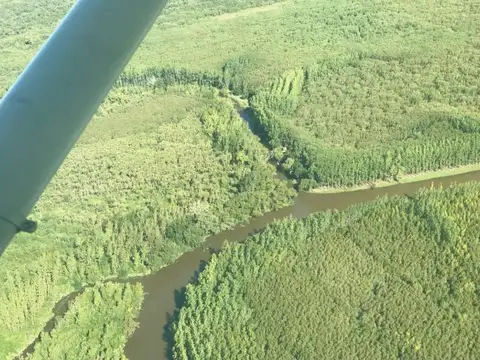 VENTA CAMPO DE APROX.24 HECTÁREAS ISLAS DEL PARANA