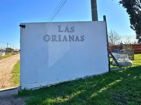 Calle 515 S/n