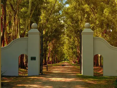 Lote en venta Chacra de San Andres II Carlos Keen