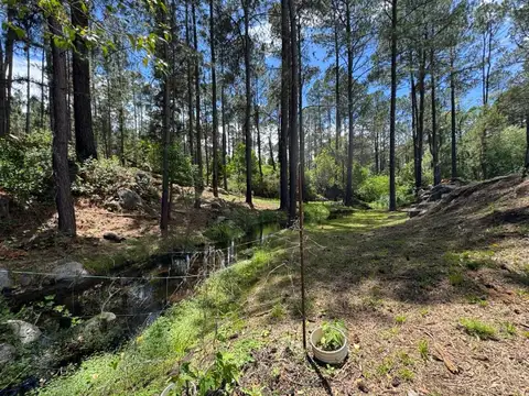 VENTA CAMPO YACANTO CON ARROYO 2,5 HAS