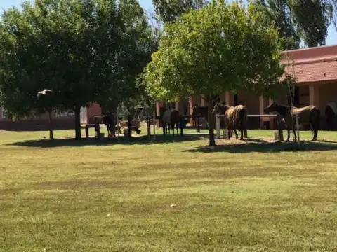 Venta de lote en Barrio Haras del Sol -
